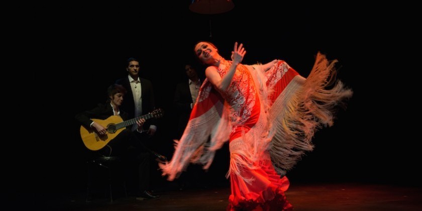 Impressions of Olga Pericet's "Flamenco Sin Titulo"