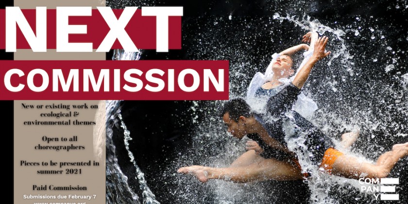 NEXT:WARMER Choreography Commission - Seeking works that speak to climate and ecology