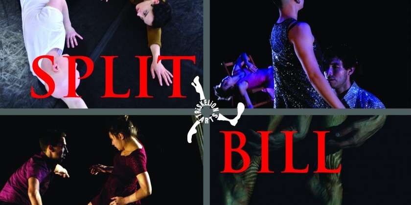 Apply now for Triskelion Arts' Split Bill Series