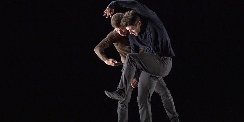 The Dance Enthusiast Asks Joshua Beamish About MOVETHECOMPANY's “Saudade” Premiering at BAM's Next Wave Festival