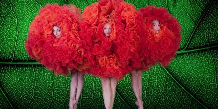 MOMIX Announces Performances at The Joyce Theater