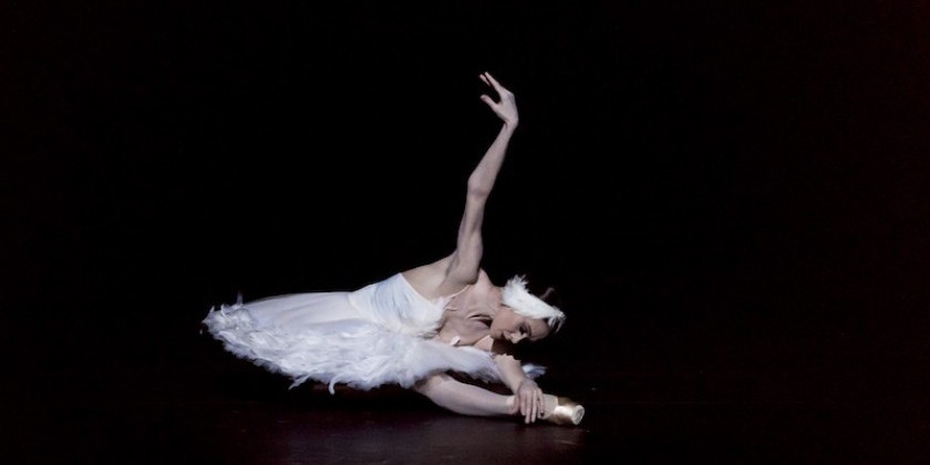 Impressions of the Mariinsky Ballet's Tribute to Maya Plisetskaya