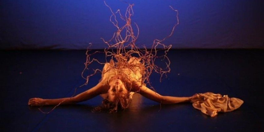 This Weedend! American Dance Guild's "Bare Bones Concert" 2014