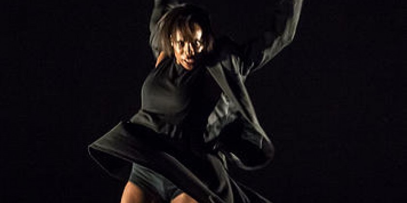 AN EVENING WITH BALLET INC., VOL. IV