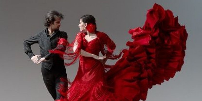 Flamenco Vivo seeks Programming Assistant