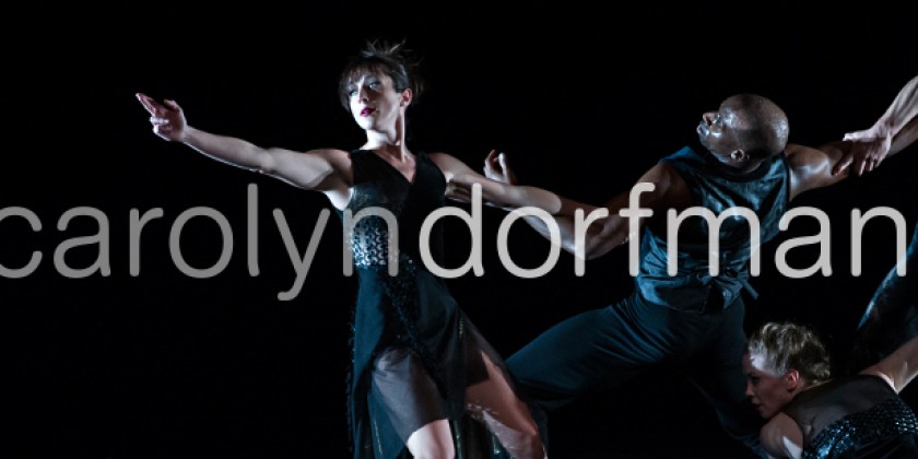 NEW JERSEY: Carolyn Dorfman Dance / Seeking Female Dancers of Color