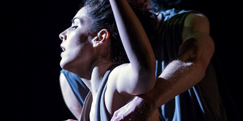 Kate Weare Company at Chicago Dancing Festival this August