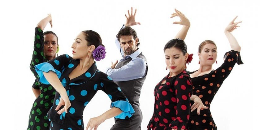 Flamenco Vivo seeks Arts Administration Intern