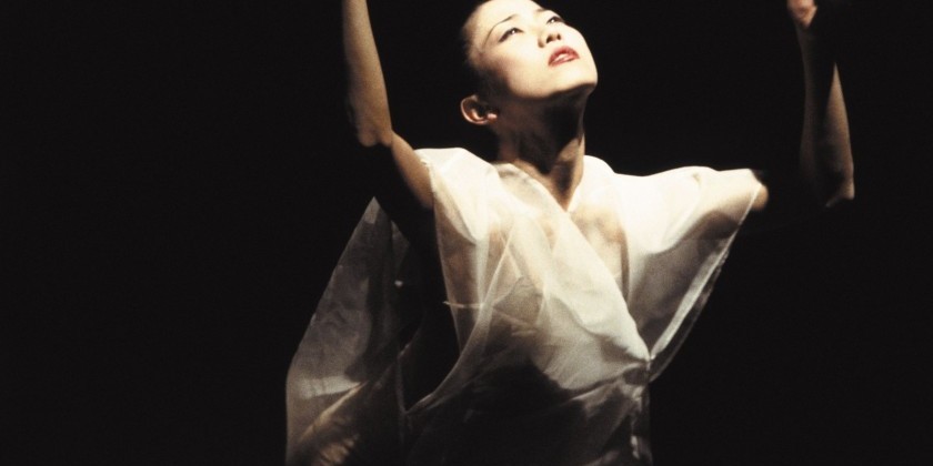 Nai-Ni Chen Dance Company presents Visions from the Bridge (Featuring An Online Premiere)