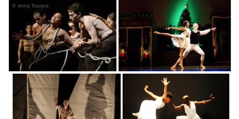 Nimbus Company Audition + Workshops