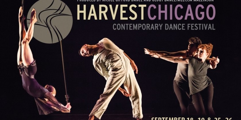 TDE Asks Chicago: Chatting with the Producers of Harvest Chicago Contemporary Dance Festival (HCCDF)