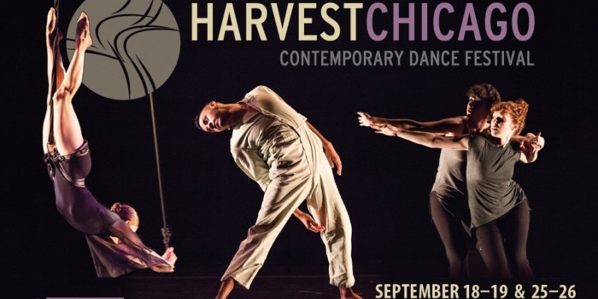 Harvest Chicago Contemporary Dance Festival (HCCDF)