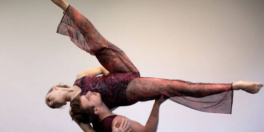 AMANDA SELWYN DANCE THEATRE to present "Crossroads" at American Dance Guild Festival 2019 
