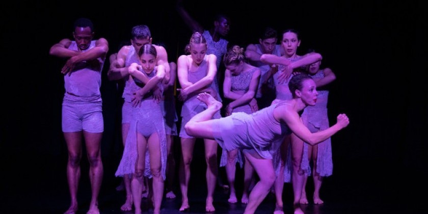 Amanda Selwyn Dance Theatre to be featured in American Dance Guild Performance Festival: Return, Renew, Rejoice!