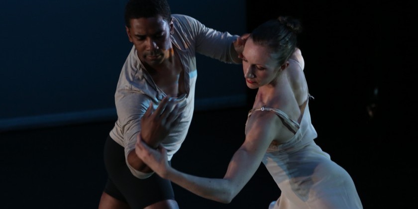 Catch Lydia Johnson Dance and Special Guest Craig Hall at New York Live Arts