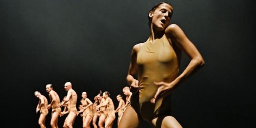 IMPRESSIONS: Germany’s tanzmainz Performs Sharon Eyal’s Award-Winning "Soul Chain" at The Joyce
