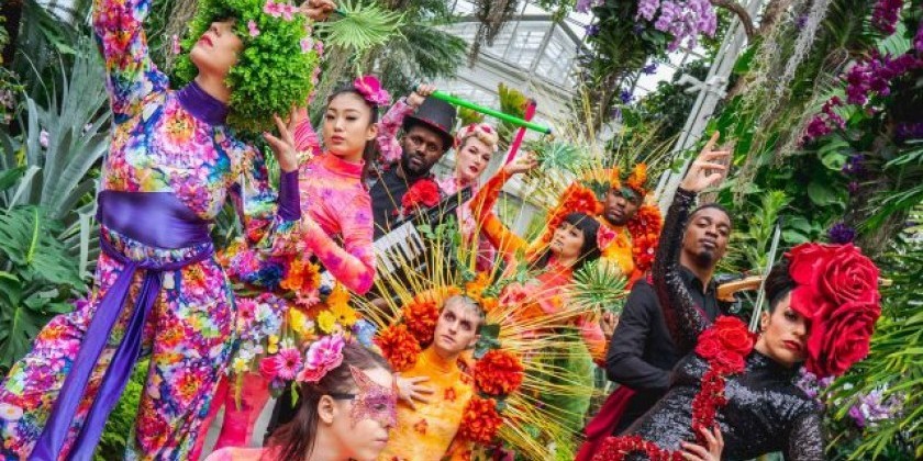 New York Botanical Garden presents ORCHID EVENINGS