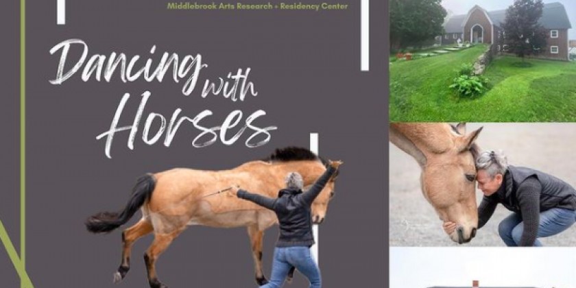 Dancing with Horses: A Workshop in the Catskills