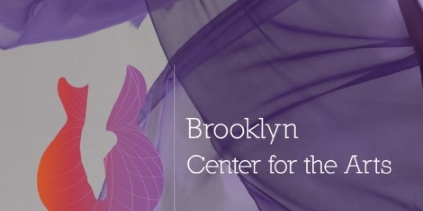 BROOKLYN: 2 Studios for Rental at Brooklyn Center for the Arts