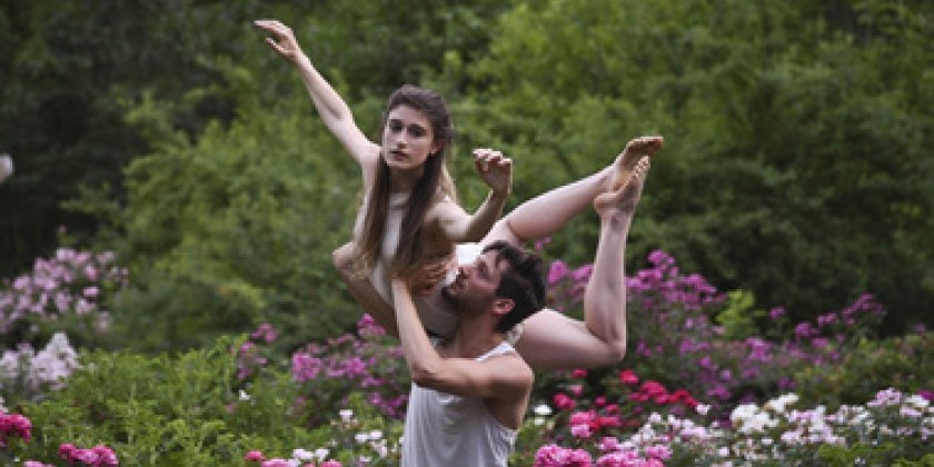 A Postcard from New Jersey Dance Theatre Ensemble