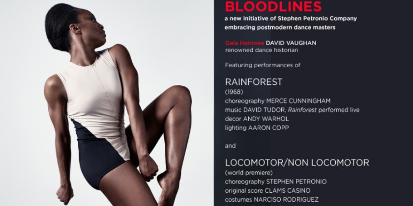 Stephen Petronio Company - 2015 Benefit Gala Invitation | Wed April 8