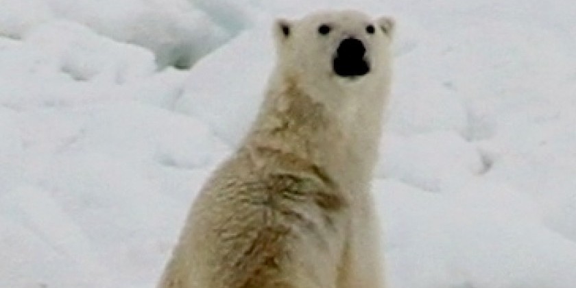Dancing on Sea Ice: June 30 Presentation at JCC in Manhattan
