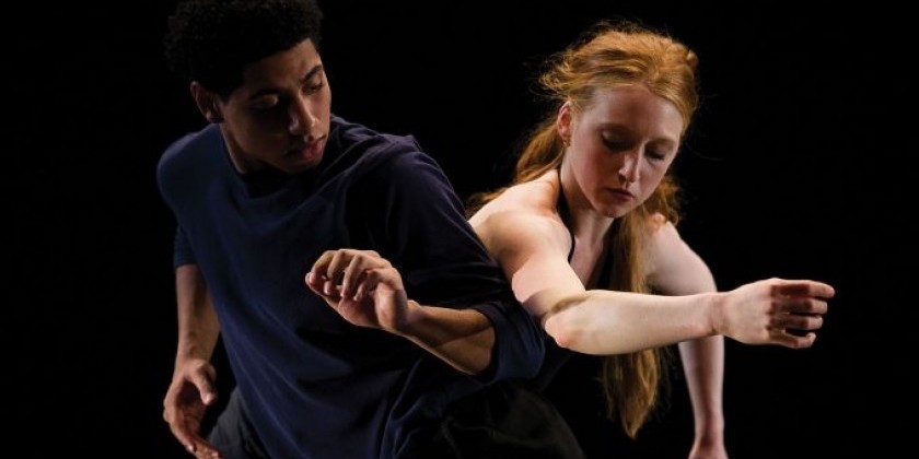 Purchase Dance Company at New York Live Arts