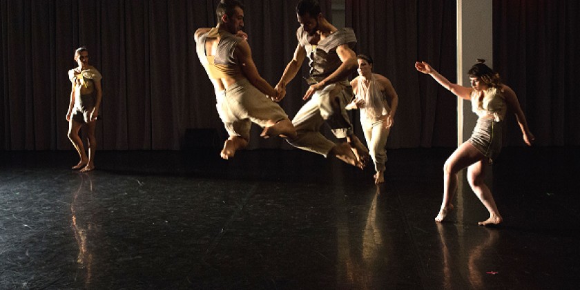 Bryn Cohn + Artists and Artists and Fleas present DANCE EXTRAORDINARY