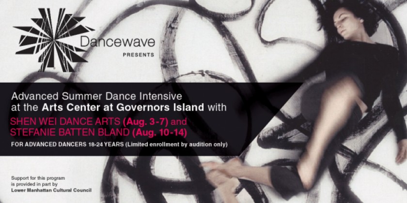 Advanced Summer Dance Intensive 2015 with Shen Wei Dance Arts and Stefanie Batten Bland 