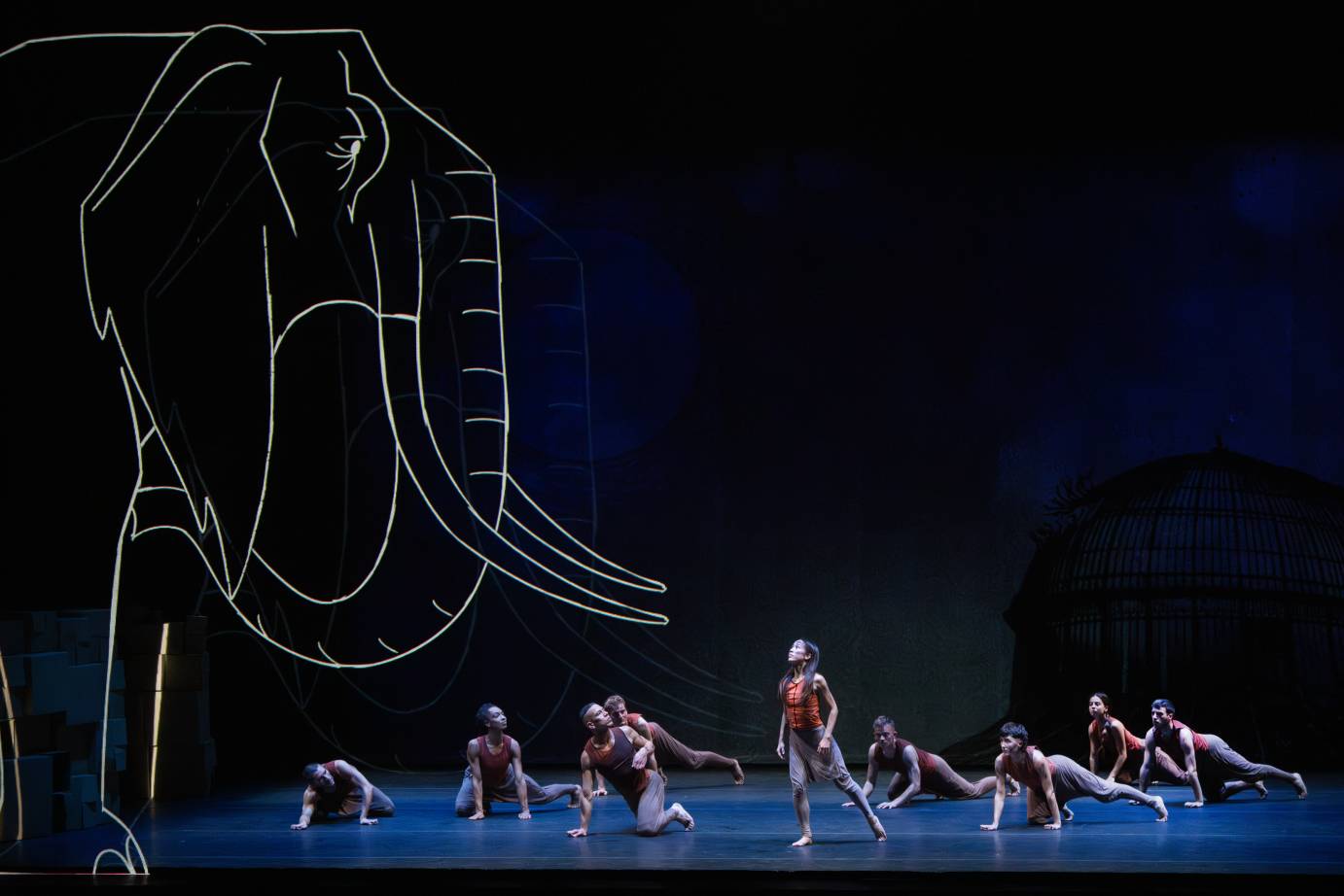 on a dimly lit stage the outline of a huge elephant hovers on stage right. a company of dancers lie and kneel on the floor, watching as a young woman seems to stand up to the creature