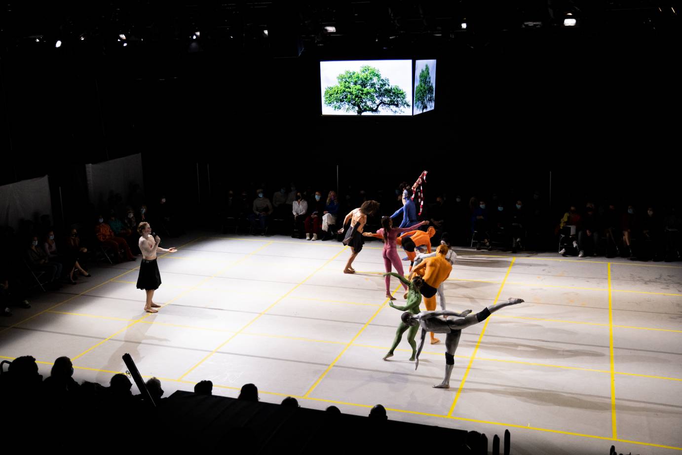 we are looking at the company from a position above the stage, they seem small and are all painted in different colors (white , orange, blue,silver) they dance on a stage laid out with yellow tape creating rectangular box patterns on the floor. Above their heads as they dance is the floating image of a tree