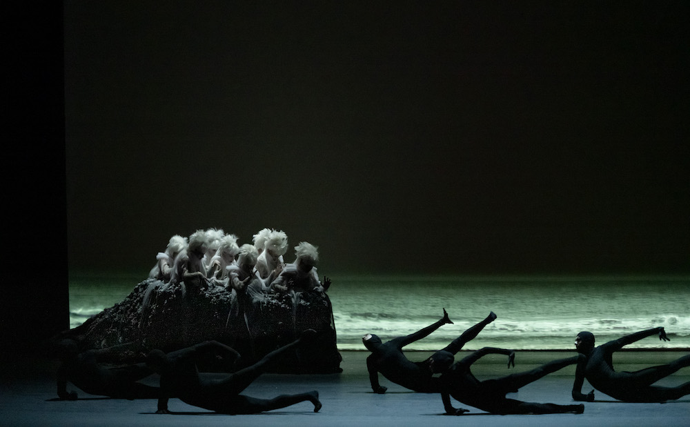 in the corner a mass of white feathered creatures against a background of the sea shore. Lying in front of the white feathered creaturs are figures donned fully in black latex from head to toe. The tone is menacing 