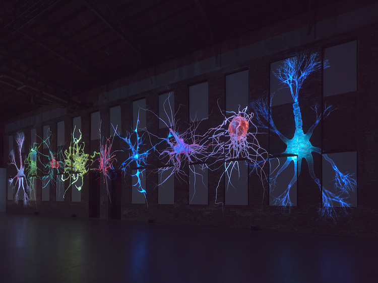 flashing colors of brain waves perhaps looking like spiders or blobs in various neon colors projected against a large brick wall
