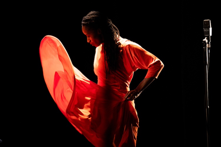 in profile the flamenco dancer's face is brightened by the orange dress she is wearing as it sails to her side as if wind blown.