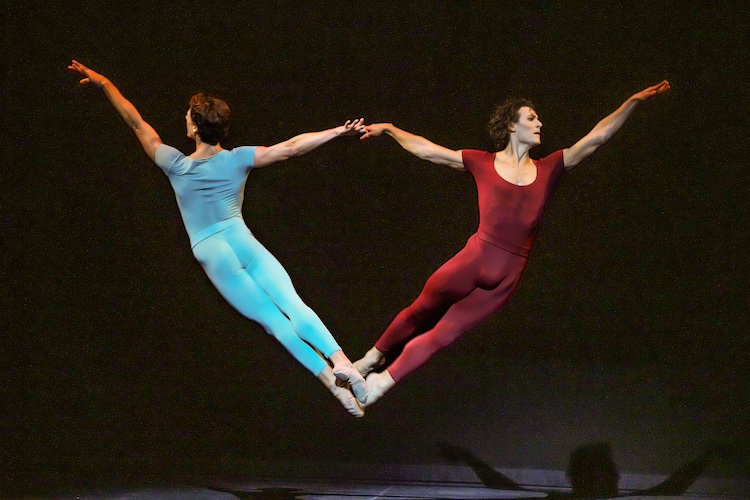 two muscled ballet dancers leap into the air holding hands... both wearing unitards, one blue, one red, the perform the same closed-leg leap moving in opposite directions 