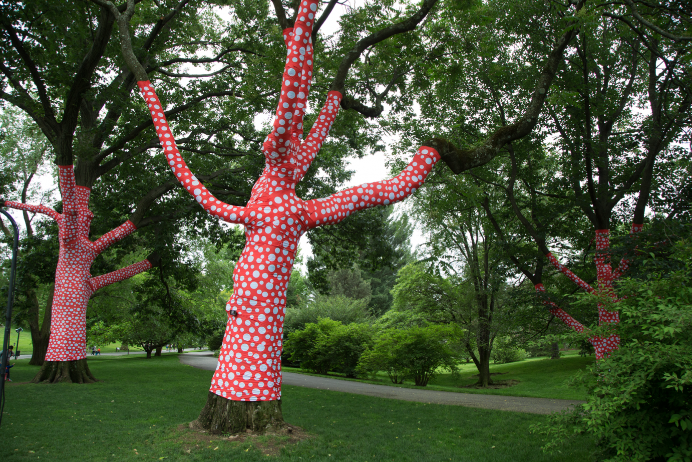 a group of trees with branches and trunks decorated in red with white polka dots at the Brooklyn Botanical Gardens