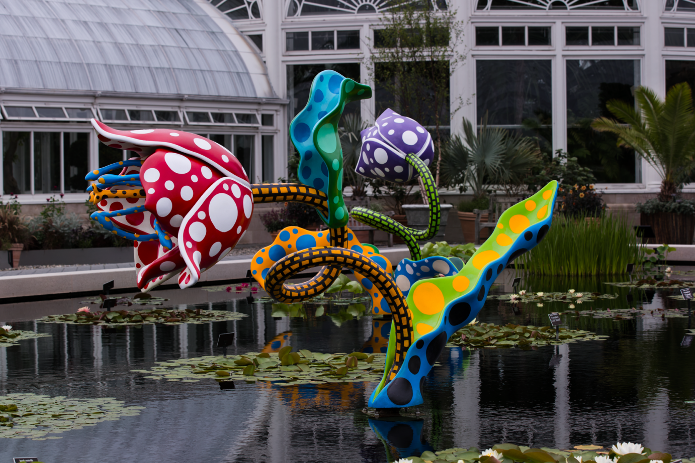 at the Brooklyn Botanical Garden a huge sculpture of dancing tulips stands int he middle of a waterlily pond. The artist Yayio Kusama uses bright colors and dots to express herself in a whimsical fashion.