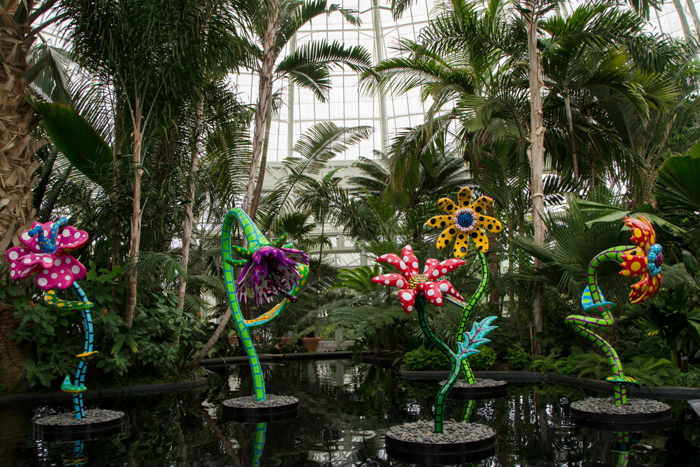 Yayoi Kasoma's colorful dotted flower sculptures stand in water in a greenhouse surrounded by palms. It's an exhibit at the New York Botanical Gardens.