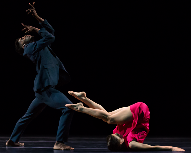 the women dressed in hot pink/red is on the floor in the midst of a backward summer sault. Her toes reach toward her partners bent knee. Her partner, the man in the black jacket and pants lunges to the right arching his upper body away from his bent lleg. His elbows are bent in front of him and his hands are splayed , fingers extending outward, above his face. 