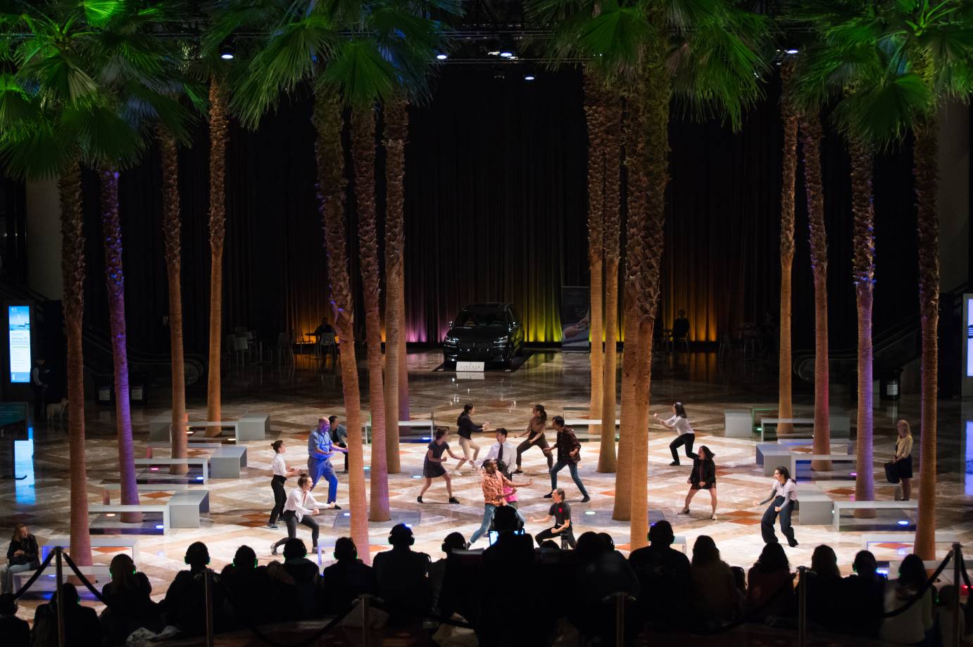 A god's eye view of the company dancing among palm trees