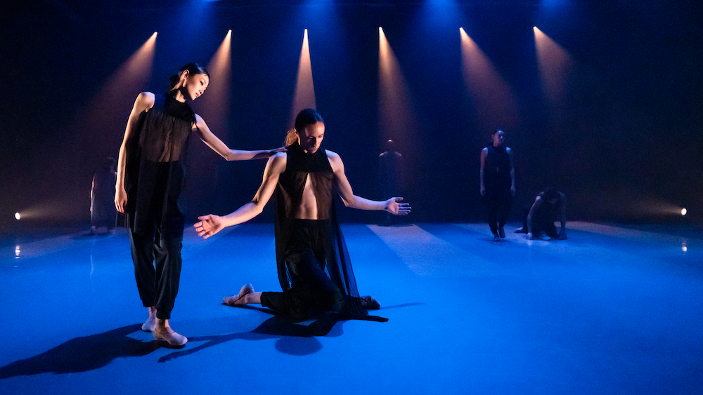 dancers in dark blue costumes bathed in portals of light