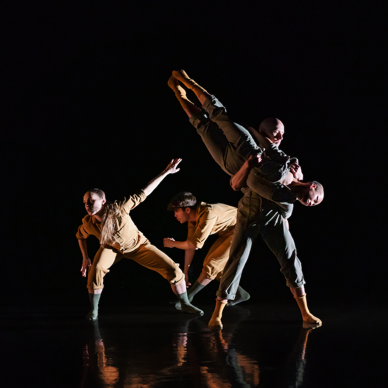 a group of dancers in tan and black worksuits...form a reaching tableau