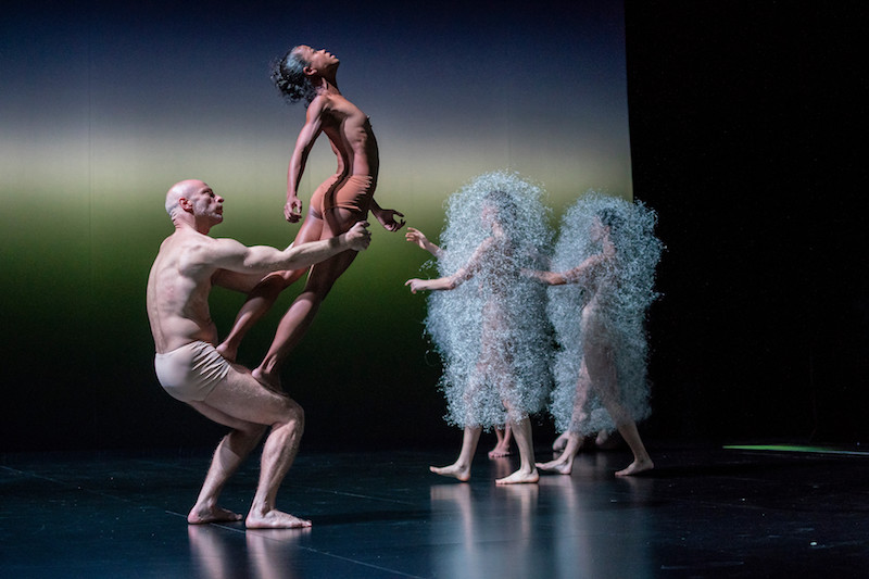 One dancer stands on the thighs of her partner who balances her. Two dancers in the background wear transparent-looking cocoon costumes.