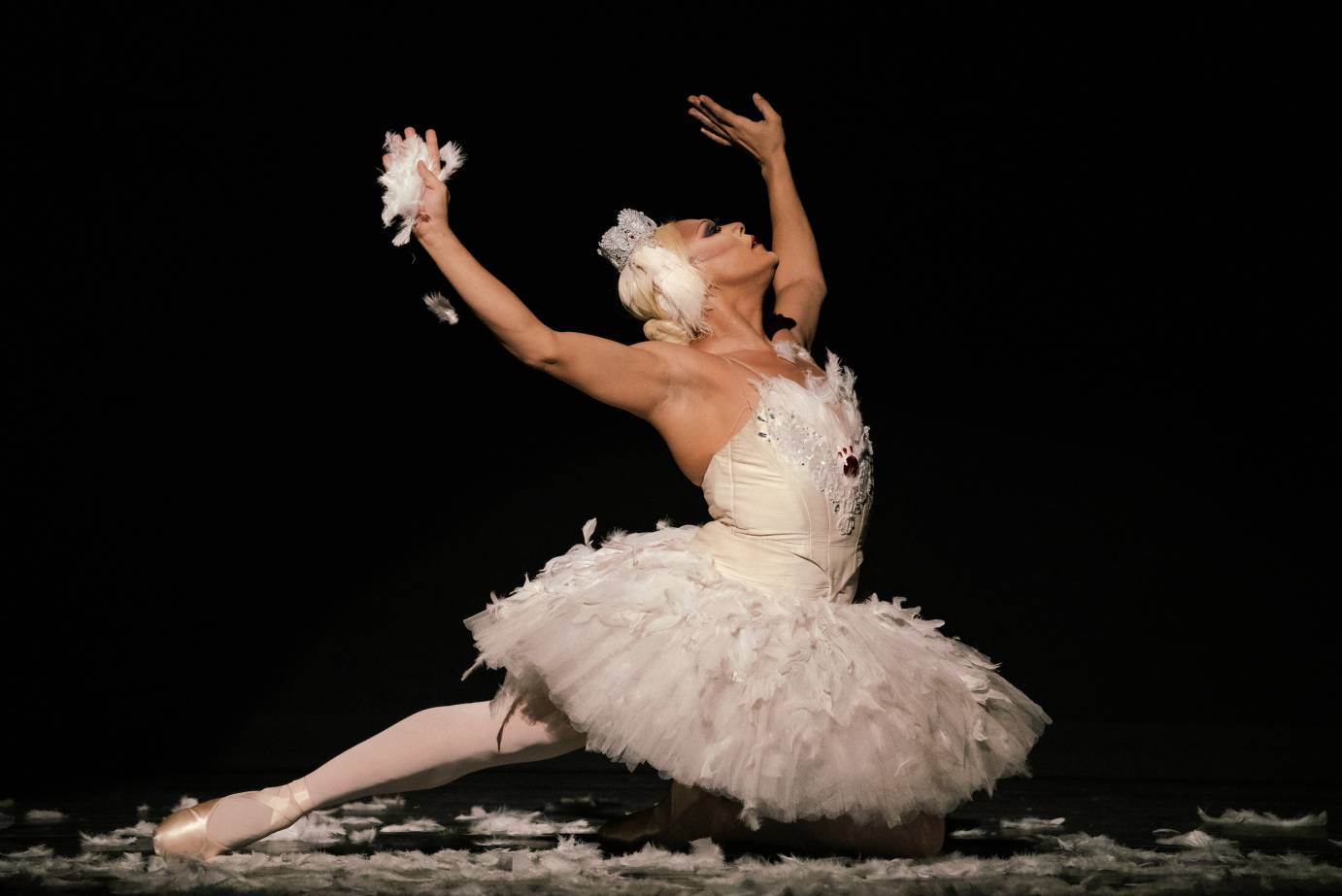 A dancer wearing a swan costume kneels, one leg extended behind and both arms raised. Feathers litter the floor.
