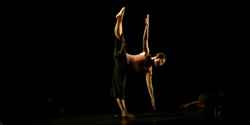 VISIONS Contemporary Ballet presents We People